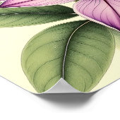 ヴィンテージのクロッカスと古びた紙 ポスター (角)