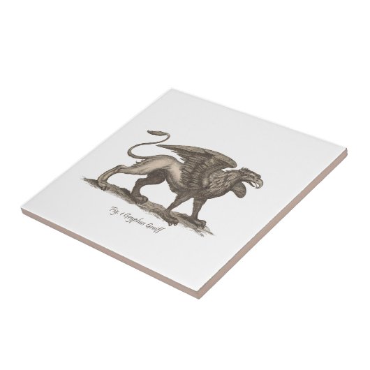 ヴィンテージのグリフィン(gryphusのgreiff)の実例 タイル (側面)