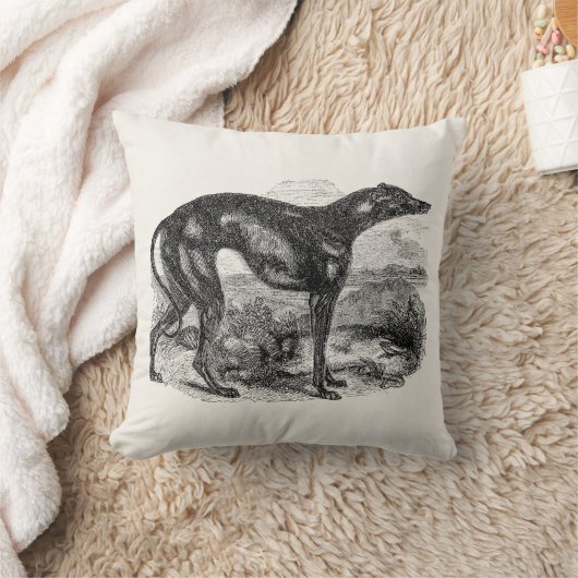 ヴィンテージのグレイハウンド犬の19世紀-グレイハウンド犬 クッション (ブランケット)