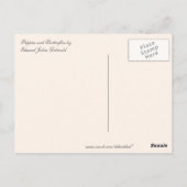 ヴィンテージのケシと蝶 ポストカード (裏面)