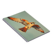 ヴィンテージのケストレル飛行 ノートブック (右側)