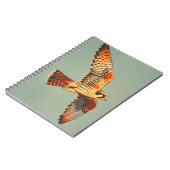 ヴィンテージのケストレル飛行 ノートブック (左側)