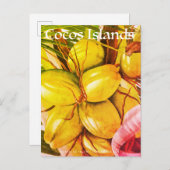 ヴィンテージのココス群島のココナッツ旅行 案内ポストカード (正面/裏面)