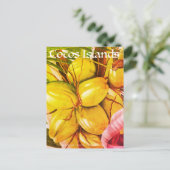 ヴィンテージのココス群島のココナッツ旅行 案内ポストカード (スタンド正面)