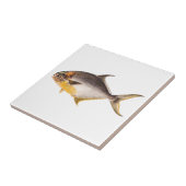 ヴィンテージのコバンアジの魚-釣魚のテンプレートのブランク タイル (側面)