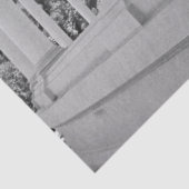 ヴィンテージのコラムの建築の白黒写真 薄葉紙 (詳細)