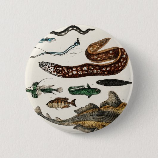 ヴィンテージのコレクション 缶バッジ (正面)