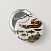 ヴィンテージのコレクション 缶バッジ (正面&裏面)