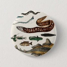 ヴィンテージのコレクション 缶バッジ