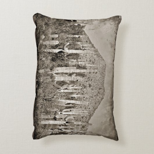 ヴィンテージのサグアロのサボテンのアクセントの枕 アクセントクッション (裏面(縦))