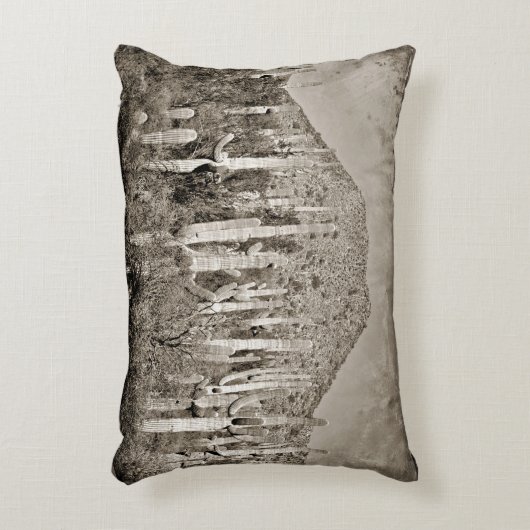 ヴィンテージのサグアロのサボテンのアクセントの枕 アクセントクッション (正面(垂直))