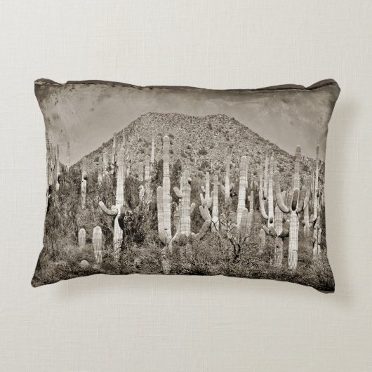 ヴィンテージのサグアロのサボテンのアクセントの枕 アクセントクッション (裏面)