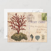 ヴィンテージのサンゴと貝殻のポストカード ポストカード (正面/裏面)
