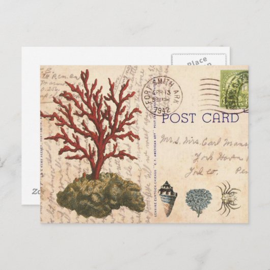 ヴィンテージのサンゴと貝殻のポストカード ポストカード (正面/裏面)