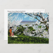 ヴィンテージのサンタクララの谷の郵便はがき ポストカード (正面/裏面)