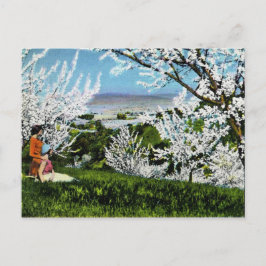 ヴィンテージのサンタクララの谷の郵便はがき ポストカード