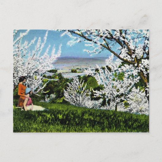 ヴィンテージのサンタクララの谷の郵便はがき ポストカード (正面)