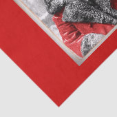 ヴィンテージのサンタクロースの写真 薄葉紙 (詳細)