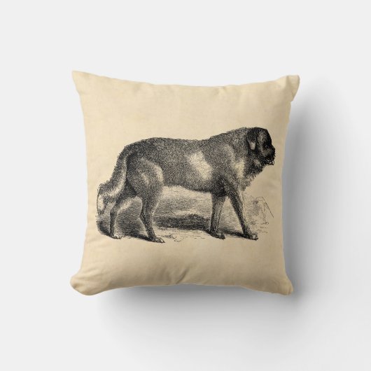 ヴィンテージのサンベルナール峠犬の19世紀の聖者のBernards犬 クッション (正面)