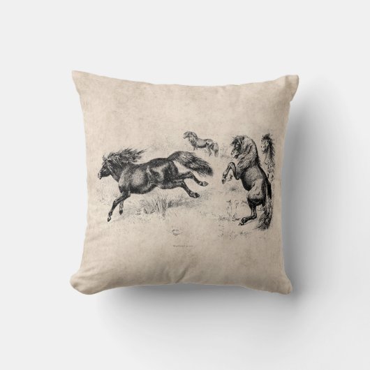 ヴィンテージのシェトランド諸島子馬- 1800's馬および子馬 クッション (正面)