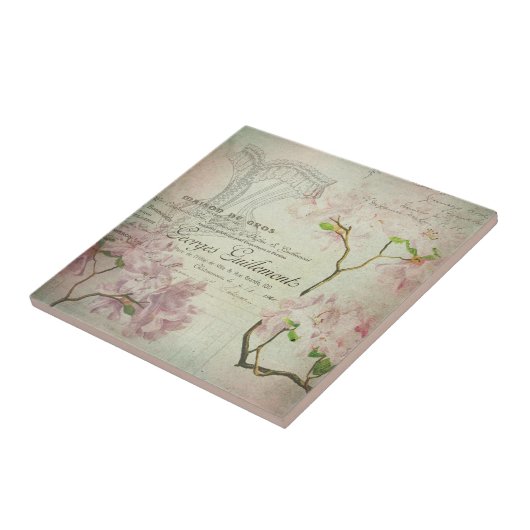 ヴィンテージのシックでフランスのな原稿のぼろぼろの花のコルセット タイル (側面)