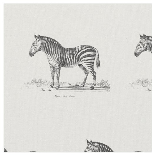 ヴィンテージのシマウマ ファブリック (クローズアップ)