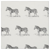 ヴィンテージのシマウマ ファブリック (見本)