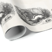 ヴィンテージのシマスカンクの19世紀のスカンクのイラストレーション ラッピングペーパー (ロールコーナー)