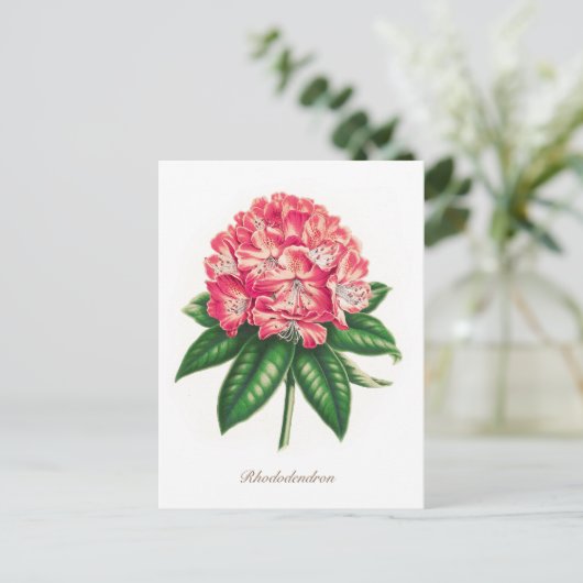ヴィンテージのシャクナゲ花 ポストカード (スタンド正面)