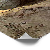 ヴィンテージのジョン・バウアーによるプリンセスがクマの鼻にキスをしたイラスト ポスター (角)