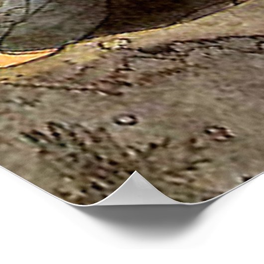 ヴィンテージのジョン・バウアーによるプリンセスのキスされたクマの鼻 ポスター (角)