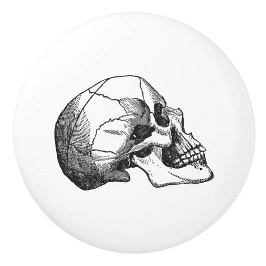 ヴィンテージのスカルのプロフィールのイラストレーションの黒 セラミックノブ (正面)