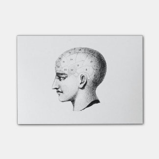 ヴィンテージのスカルの解剖学の図表のポスト・イット ポストイット