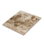 ヴィンテージのスタイルのオンドリの写真 タイル (側面)