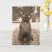 ヴィンテージのスタイルのデボンのレックス猫の写真 カード (黄色い花)