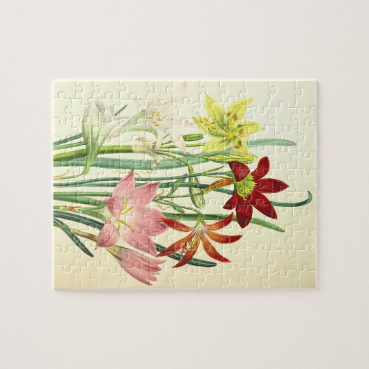 ヴィンテージのスタイルの顕花植物のパズル ジグソーパズル (横)