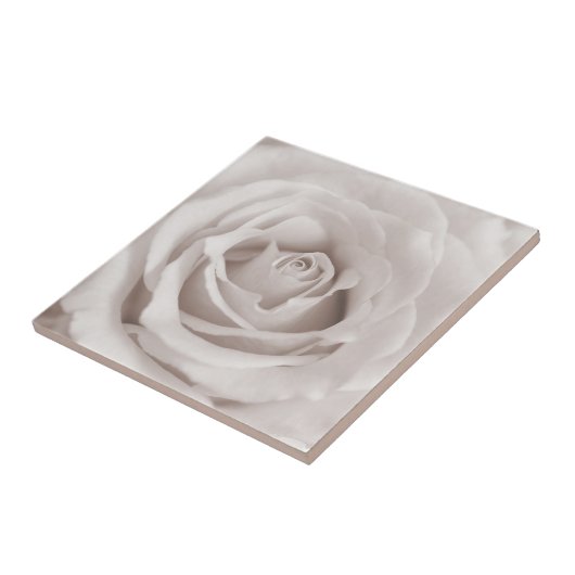 ヴィンテージのセピア色の白い及びクリーム色のばら色の背景のカスタム タイル (側面)