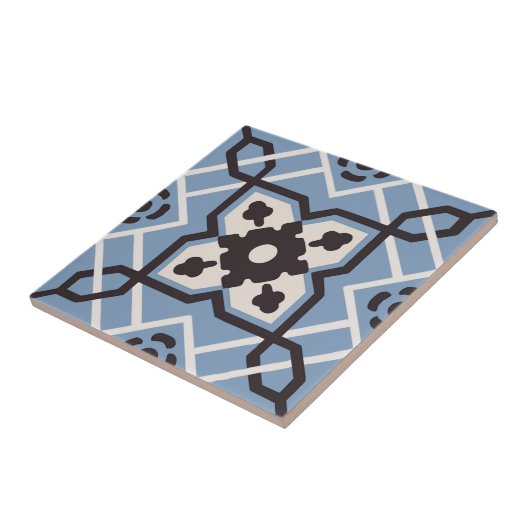 ヴィンテージのセメントのタイルの再生 タイル (側面)