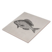 ヴィンテージのタイの魚のレトロはテンプレートを採取します タイル (側面)