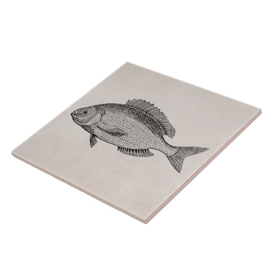 ヴィンテージのタイの魚のレトロはテンプレートを採取します タイル (側面)