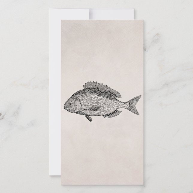 ヴィンテージのタイの魚のレトロは羊皮紙を採取します (正面)