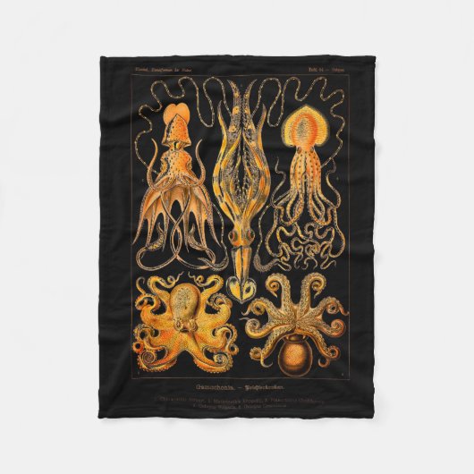 ヴィンテージのタコおよびイカ フリースブランケット (正面)