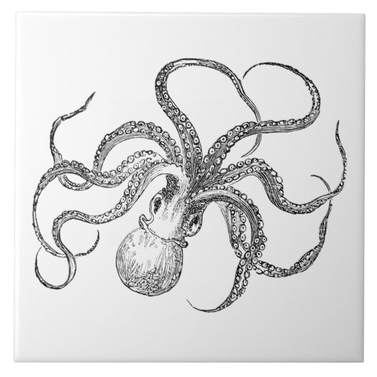 ヴィンテージのタコのテンプレート タイル (正面)