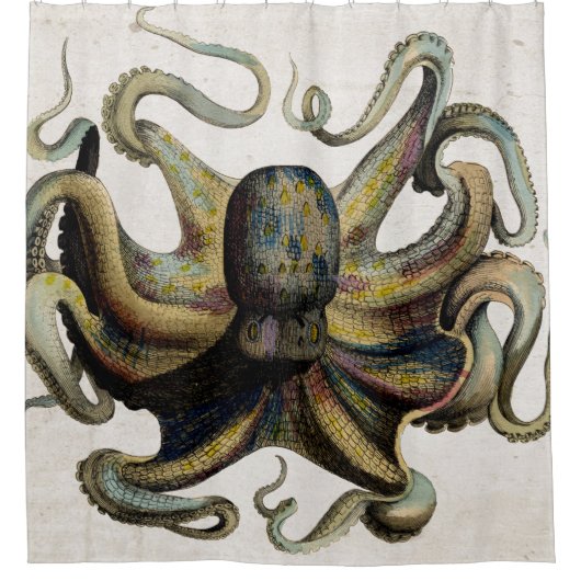 ヴィンテージのタコのプリントのシャワー・カーテン シャワーカーテン (正面)