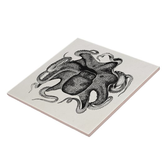 ヴィンテージのタコはCuttlefishの19世紀のCuttleの魚を好みます タイル (側面)