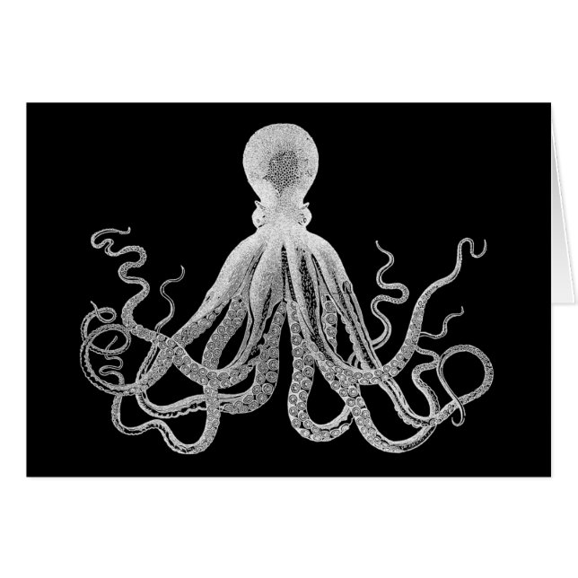 ヴィンテージのタコ (正面横)