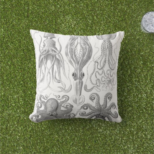 ヴィンテージのタコ、イカのイラストレーション アウトドアクッション (芝生)