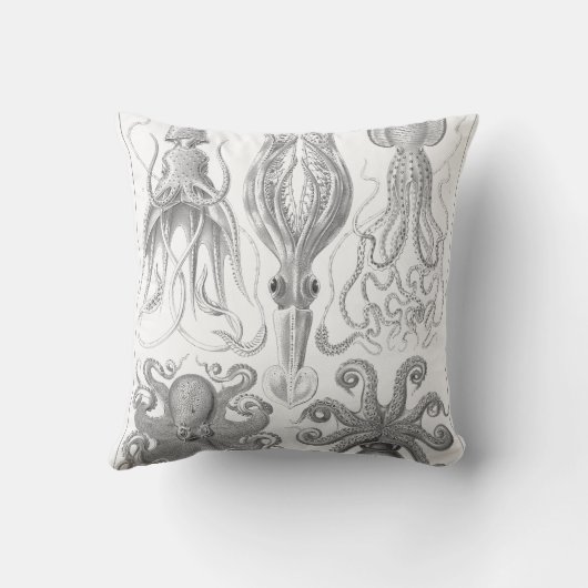 ヴィンテージのタコ、イカのイラストレーション アウトドアクッション (裏面)