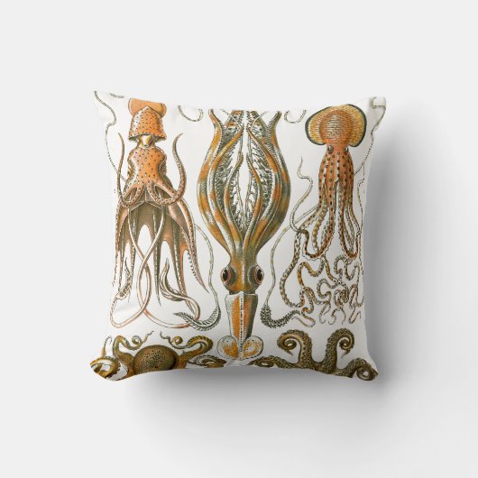 ヴィンテージのタコ、イカのイラストレーション クッション (正面)