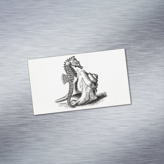 ヴィンテージのタツノオトシゴのタツノオトシゴのトランペットの貝のビーチ マグネット名刺 (インサイチュ)